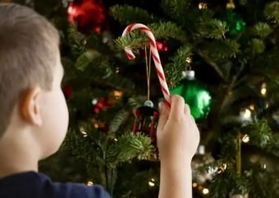 Junge schmückt Weihnachtsbaum mit Zuckerstange