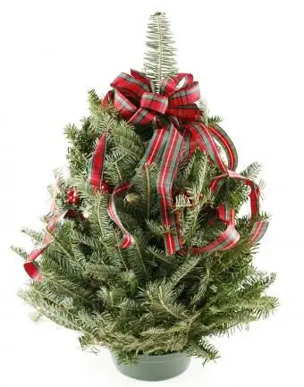https://cf.ltkcdn.net/christmas/images/slide/183210-668x850-christmas-tree-plaid-ribbon.webp