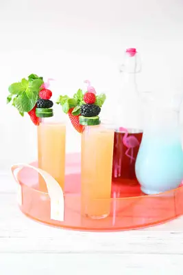 Domácí Pimmův likér