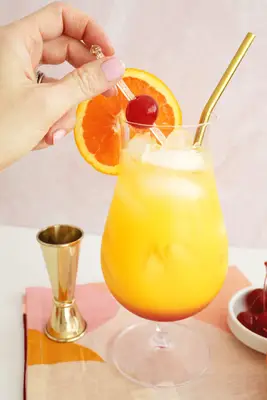 Sex on the Beach cocktail drink