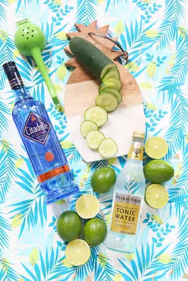 Gin + Tonic Popsicles