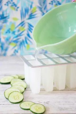 Gin + Tonic Popsicles
