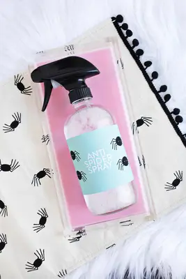 Anti Spider Spray (Essential Oil Based)