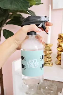 Anti Spider Spray (Essential Oil Based)