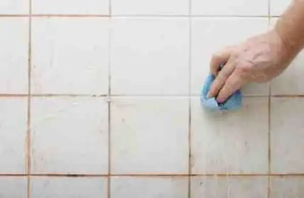 Ako sa zbaviť plesne