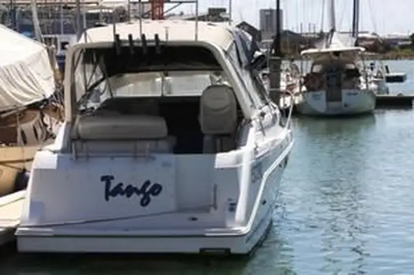 Come pulire la muffa dal vinile marino