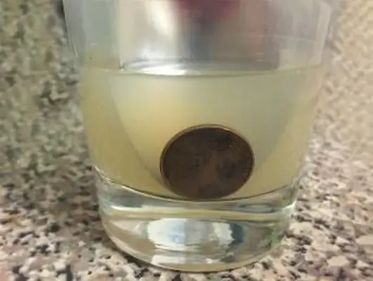 Projekt naukowy o czyszczeniu grosza