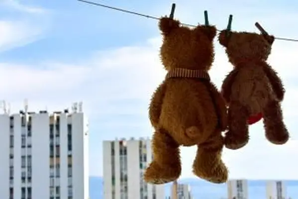 말리기 위해 놀고있는 귀여운 갈색 곰