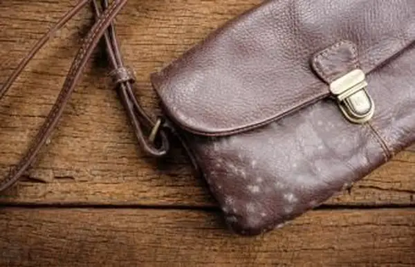 pleśń na starej brązowej skórzanej torbie