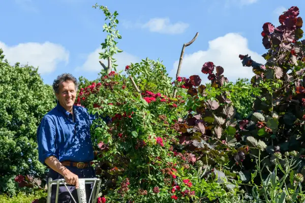 חודש הפרחים של מונטי: משרות לגן יולי