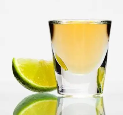 Snakebite 음료 레시피