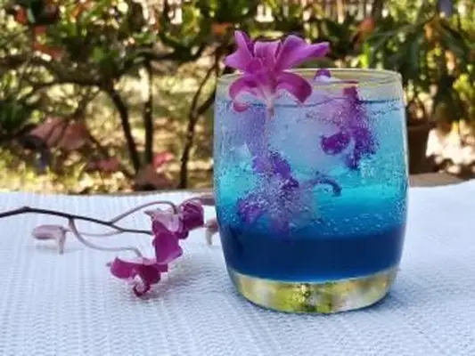 Recetas de bebidas no alcohólicas hawaianas