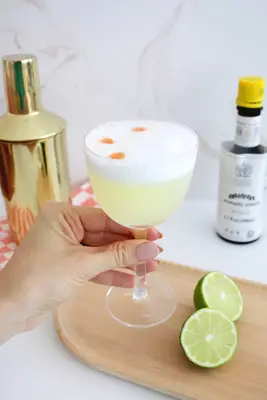 pisco sour cocktail