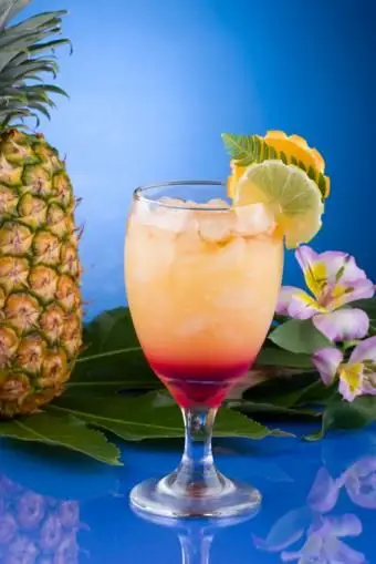 https://cf.ltkcdn.net/cocktails/images/slide/108369-566x848-Maitai.webp