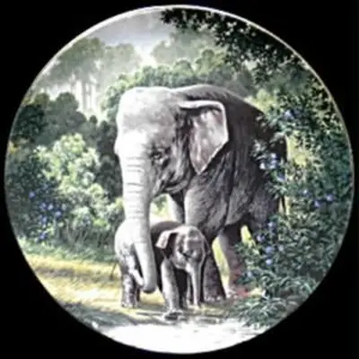 Valor das placas de coletor