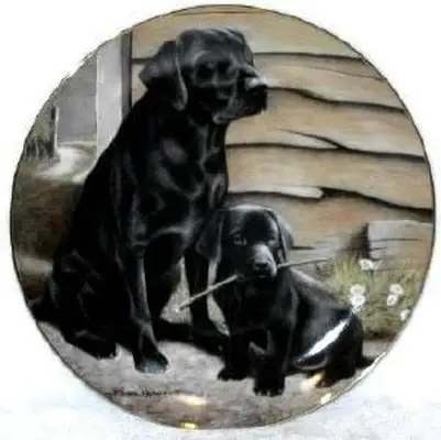 מדריך לצלחות אספן מנטה פרנקלין