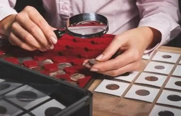 Wie können Sie feststellen, ob eine Münze selten ist?