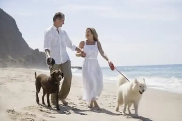 Casal passeando com cachorros na praia