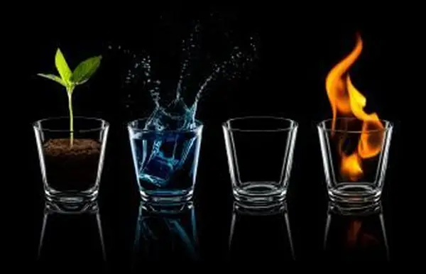 물잔의 네 가지 요소