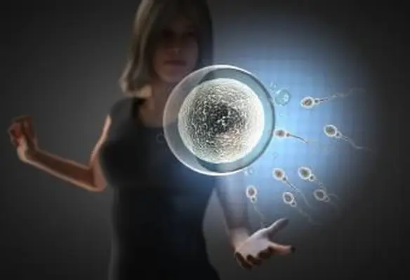 수태 날짜는 얼마나 정확합니까?