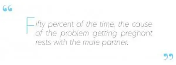 נכנסת להריון