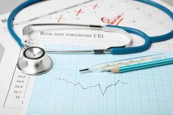 여성의 배란주기