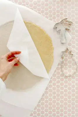 The Best Vegan Sugar Cookie!