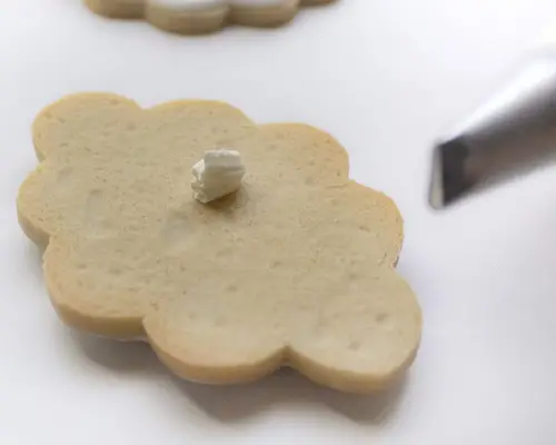 Adding icing to a cookie