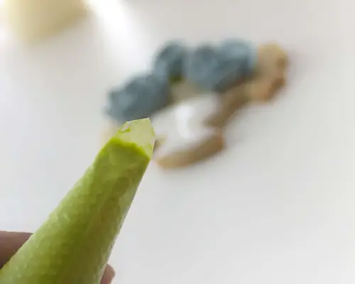 green icing in piping bag