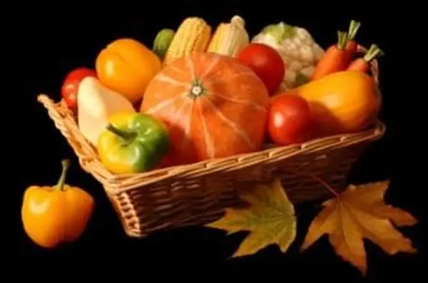 רעיונות מרכזיים בסתיו