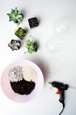 Make Your Own Floating Terrariums
