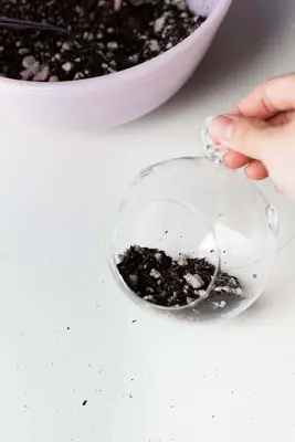 Make Your Own Floating Terrariums