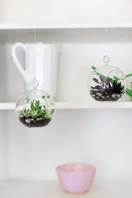 Make Your Own Floating Terrariums