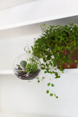 Vytvořte si vlastní plovoucí terárie