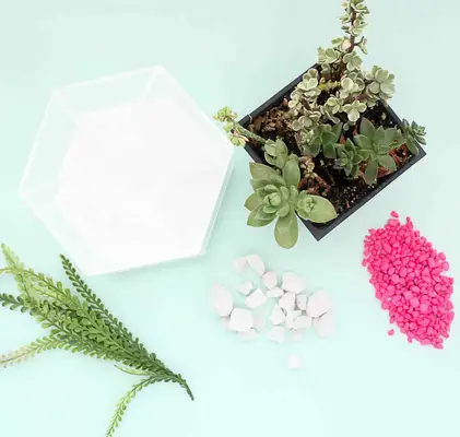 Make A Terrarium Desk Organizer