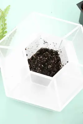 Make A Terrarium Desk Organizer