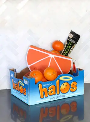 DIY Mandarin Orange Slice Snack Pouch