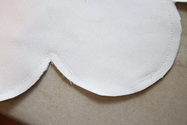 Daisy Pillow DIY