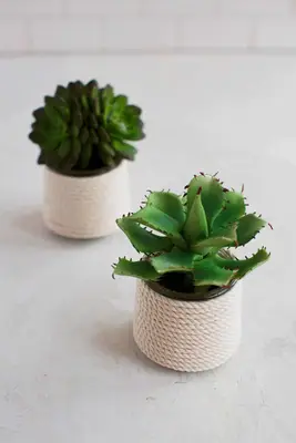 5 Easy DIY Glass Planters