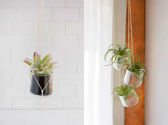 5 Easy DIY Glass Planters