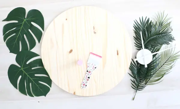 DIY Plants on Pink Clock