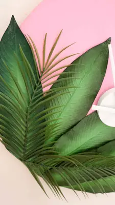 DIY Plants on Pink Clock