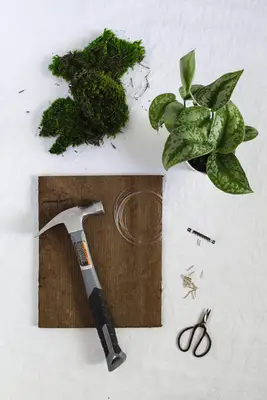 DIY Wall Mounted Plants AKA Living Art