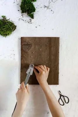 DIY Wall Mounted Plants AKA Living Art