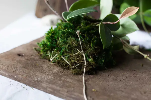 DIY Wall Mounted Plants AKA Living Art