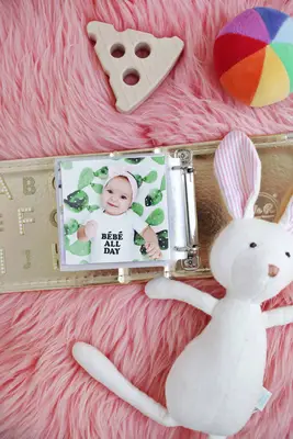 아기 롤라의 첫 번째 사진 책