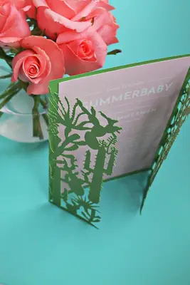 선인장 베이비 샤워 초대장