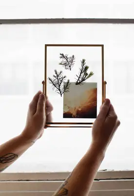 DIY Pressed Plants Photo Frame
