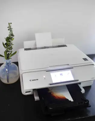 DIY Pressed Plants Photo Frame