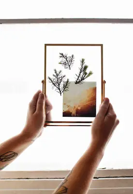 Diy lisované rostliny fotorámeček